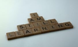 Lebenslanges Lernen: PLE