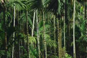 Mehr über den Artikel erfahren Lost in the Tool-Jungle?