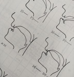 Mehr über den Artikel erfahren Aussprache